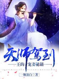 七公主是什么 七公主是什么