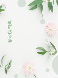 七公主! 七公主!